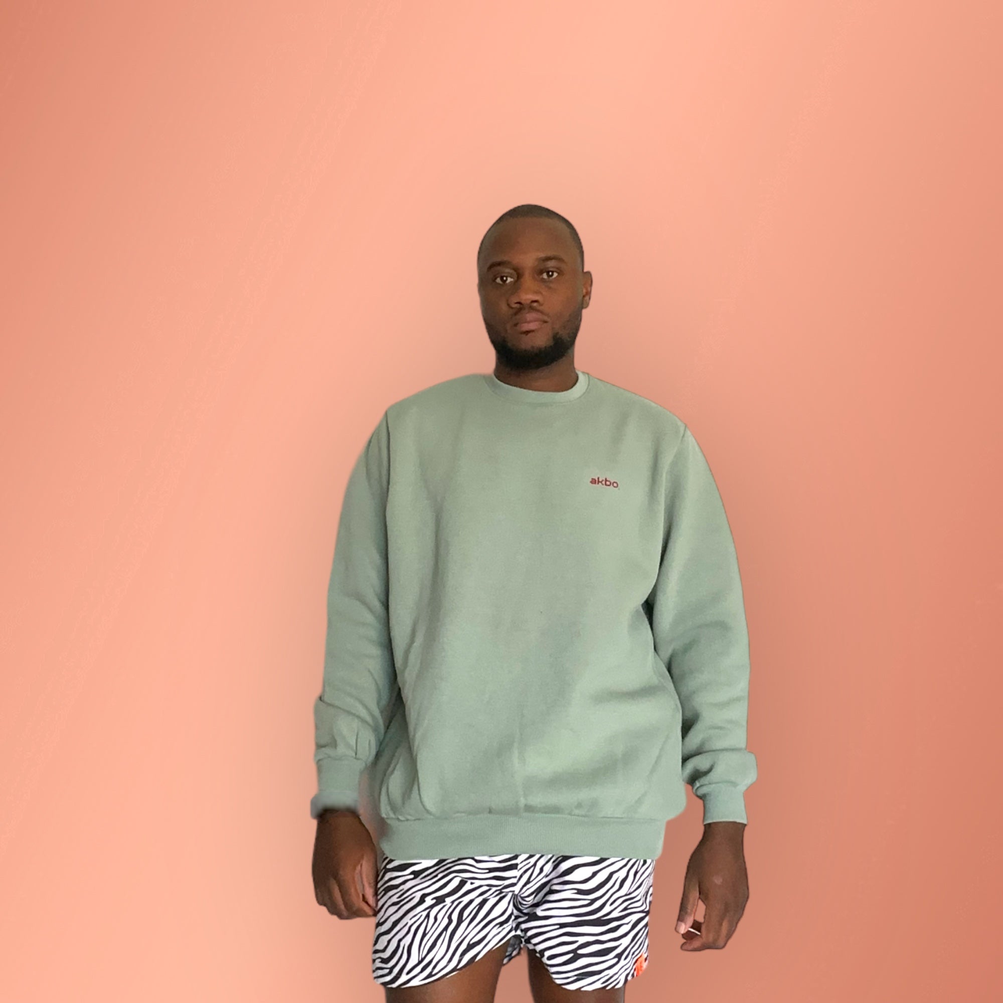 Badged AKBO Men's Sweat Shirt-3