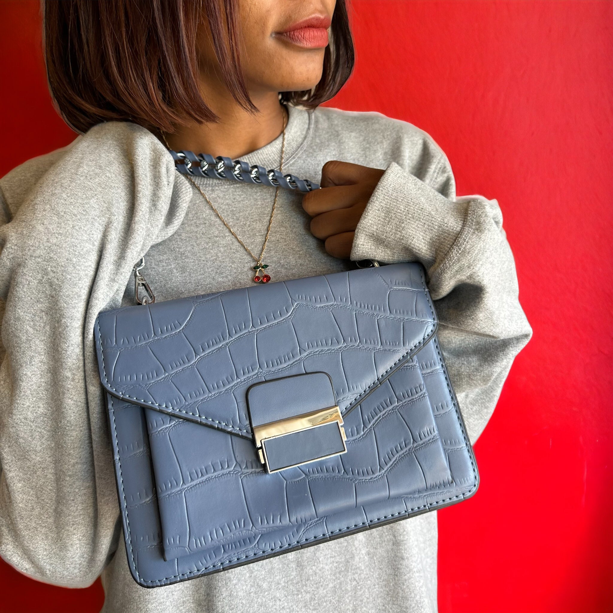 minimalist wild flap bag-2