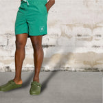 AKBO Linen Shorts Men's Bottom Wear